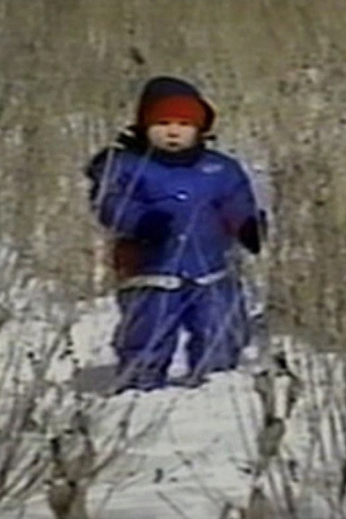 Movie poster for The Last of the Nepinaks (2005)