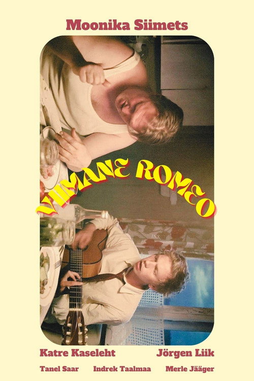 Movie poster for The Last Romeo (2013)