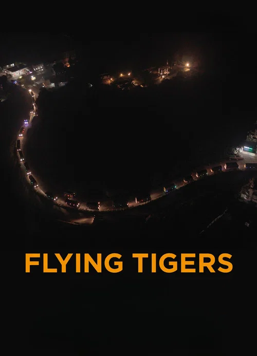 Movie poster for Flying Tigers (2026)