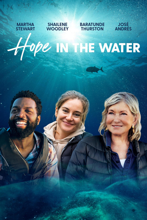 Hope in the Water poster