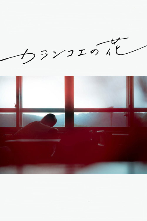 Movie poster for Kalanchoe (2017)