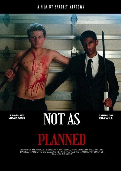 Movie poster for Not As Planned (2026)