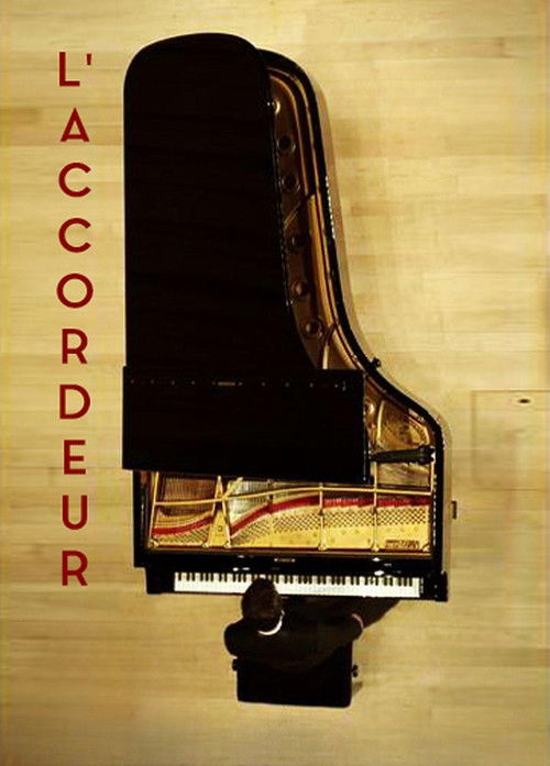 Movie poster for The Piano Tuner (2011)