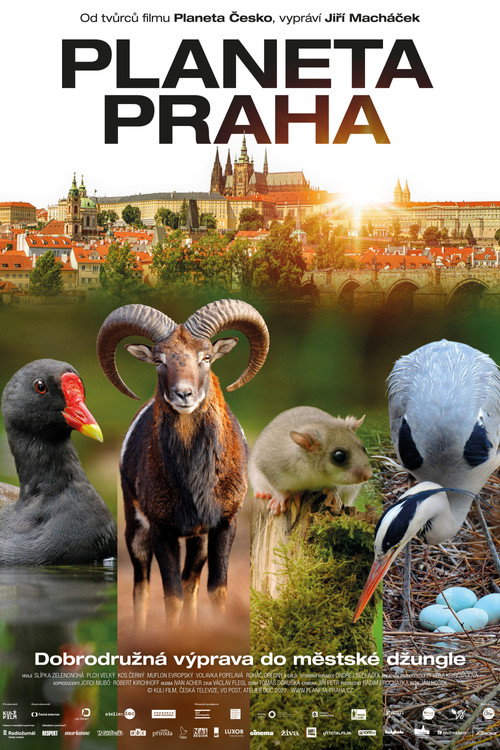 Movie poster for Wild Prague (2022)