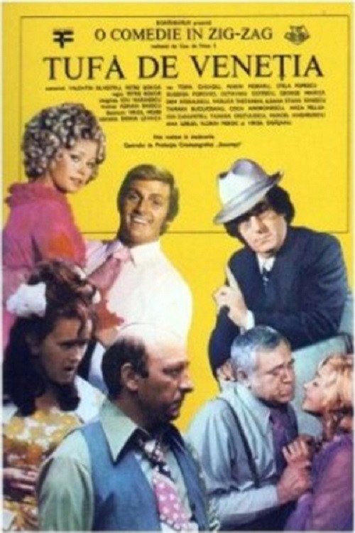 Movie poster for Tufă de Veneția (1977)