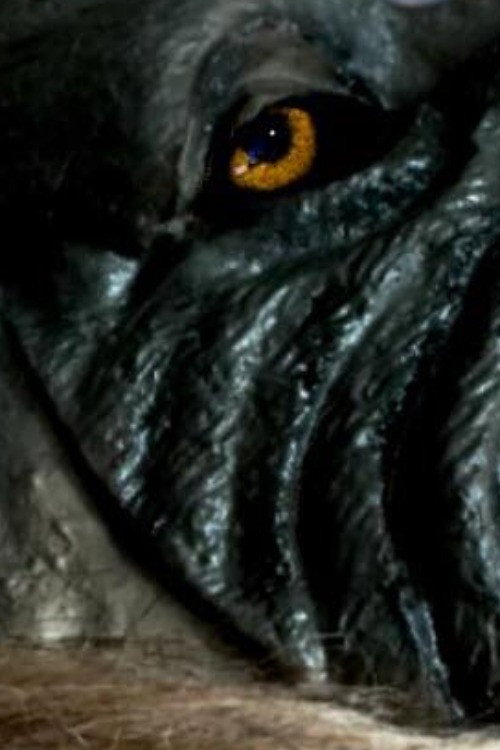 Movie poster for The Werewolf of Chatsford (2018)