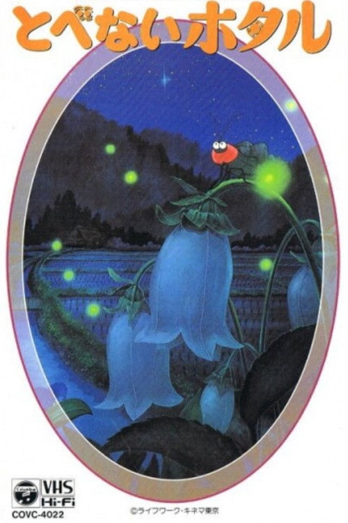 Movie poster for Tobenai Hotaru (1991)