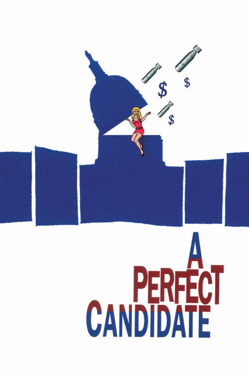 Movie poster for A Perfect Candidate (1996)