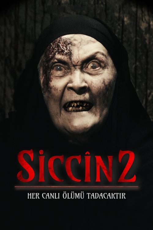 Movie poster for Sijjin 2 (2015)