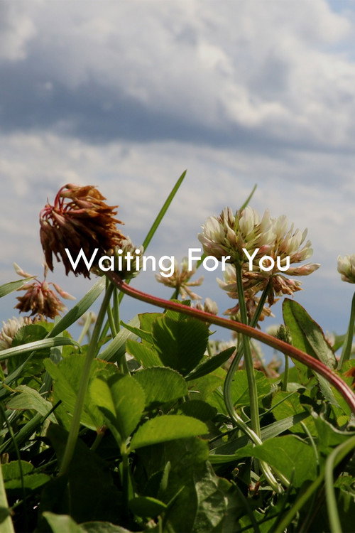 Movie poster for Waiting For You (2024)