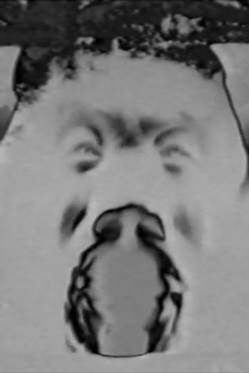 Movie poster for First Apocrypha (1993)
