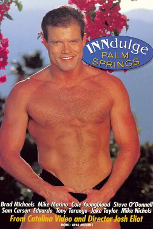 Movie poster for INNdulge Palm Springs (1996)