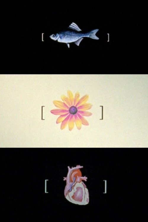 Movie poster for Intolerance (2002)