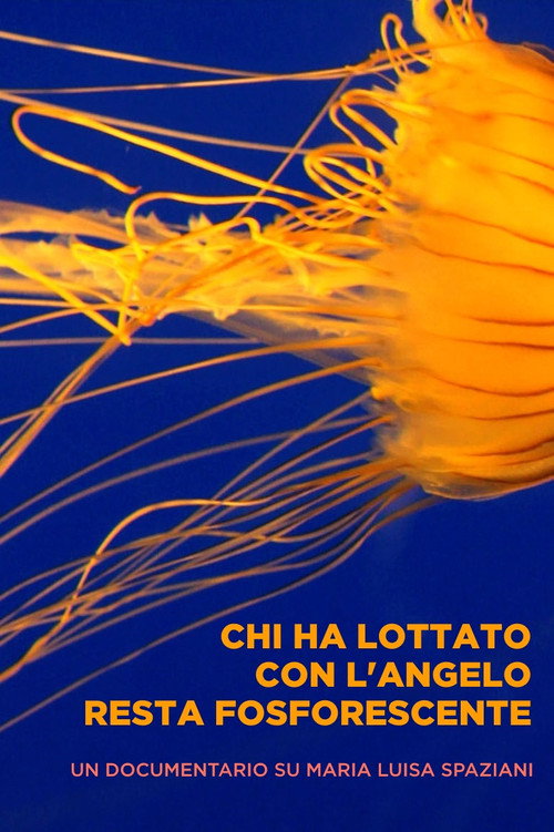 Movie poster for Chi ha lottato con l'angelo resta fosforescente (2013)