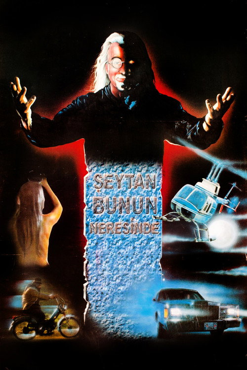 Movie poster for Şeytan Bunun Neresinde? (2003)