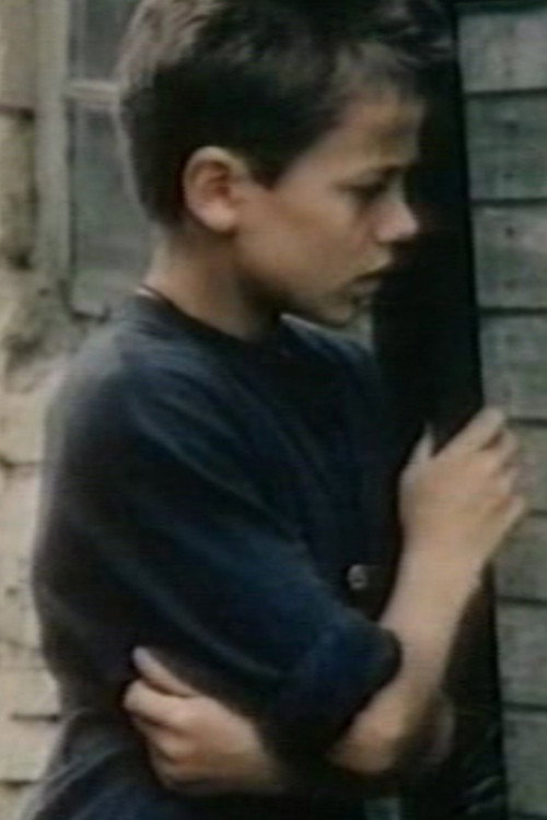 Movie poster for Stranger (1989)