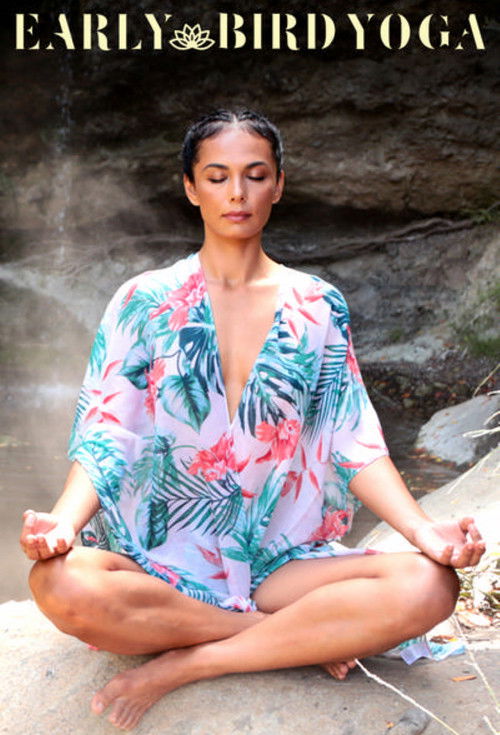 Series poster for Early Bird Yoga (2019)