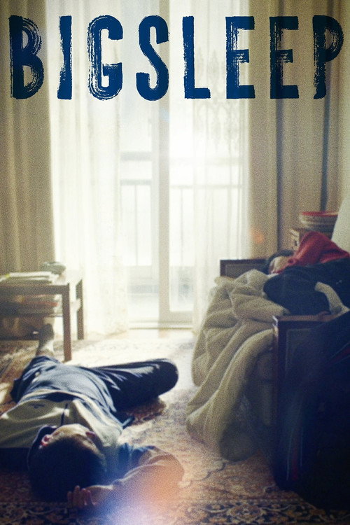 Movie poster for Big Sleep (2023)