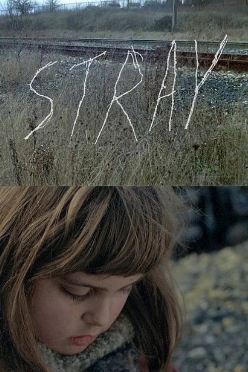Movie poster for Stray (2013)