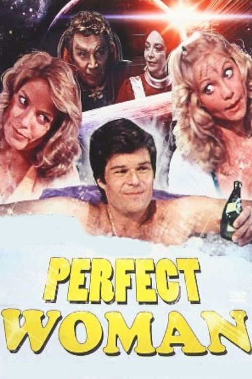 Movie poster for The Perfect Woman (1981)