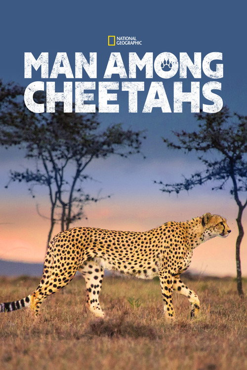 Movie poster for Man Among Cheetahs (2017)
