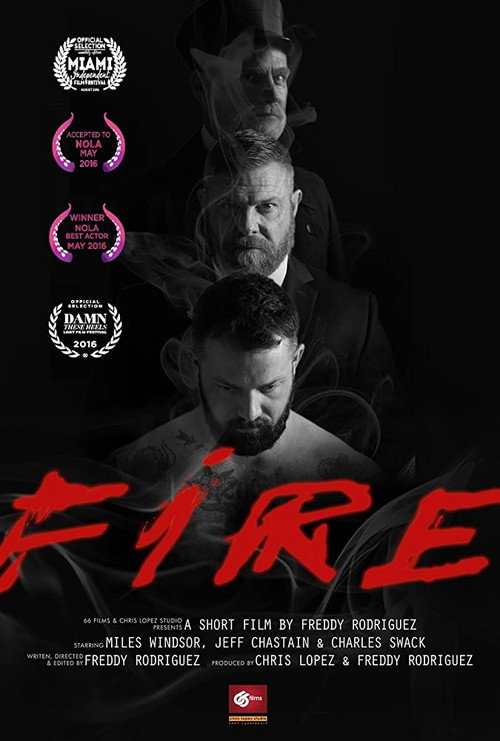Movie poster for Fire (2016)