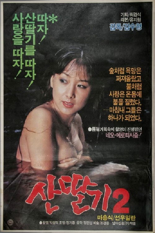 Movie poster for Mountain Strawberries 2 (1985)
