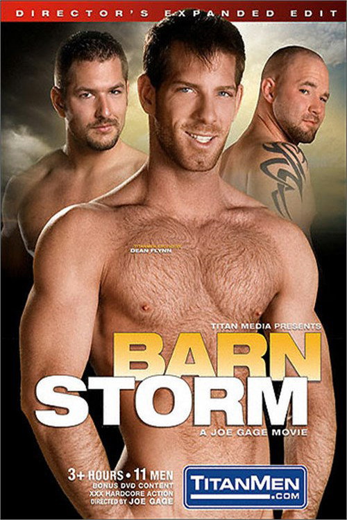 Movie poster for Barnstorm (2007)