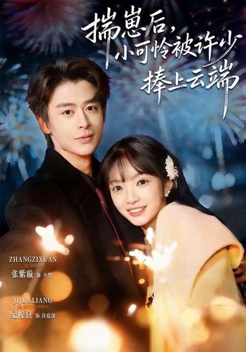 Series poster for 揣崽后，小可怜被许少捧上云端 (2026)