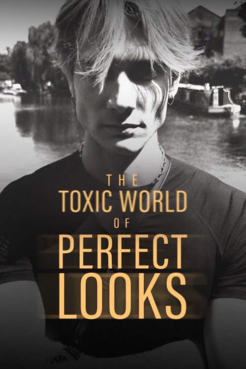 Movie poster for The Toxic World Of Perfect Looks (2024)