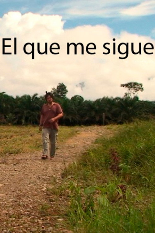 Movie poster for El que me sigue (2014)