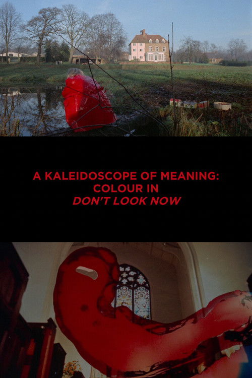 Movie poster for A Kaleidoscope of Meaning: Colour in Don't Look Now (2019)
