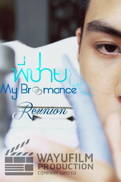 Movie poster for My Bromance: Reunion (2015)