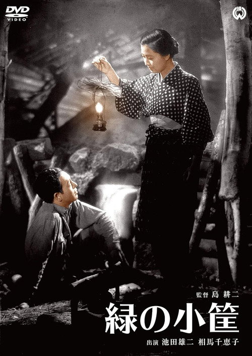 Movie poster for The Little Green Box (1947)