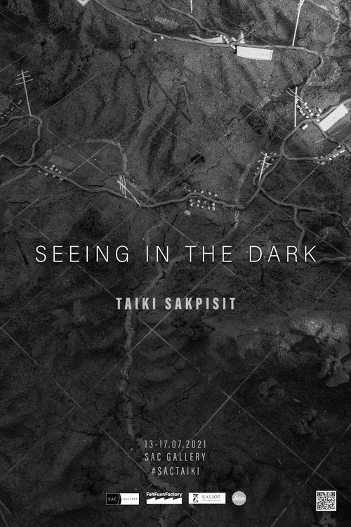 Movie poster for Seeing in the Dark (2022)