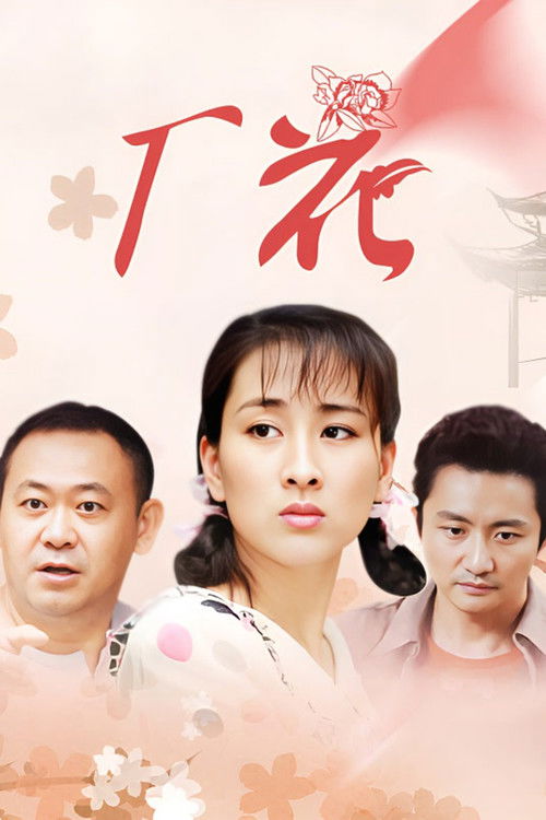 厂花 poster
