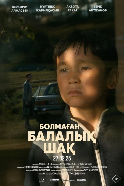 Movie poster for A childhood that never happened (2025)