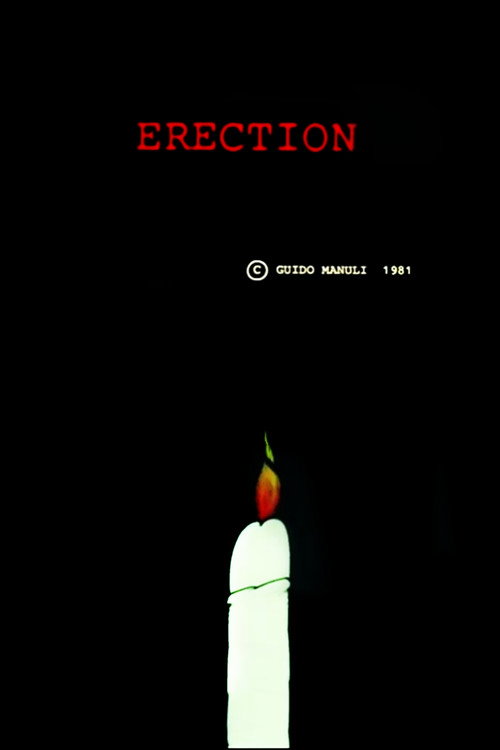 Movie poster for Erection (1981)