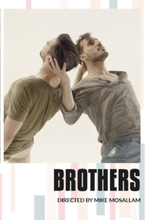 Movie poster for Brothers (2019)
