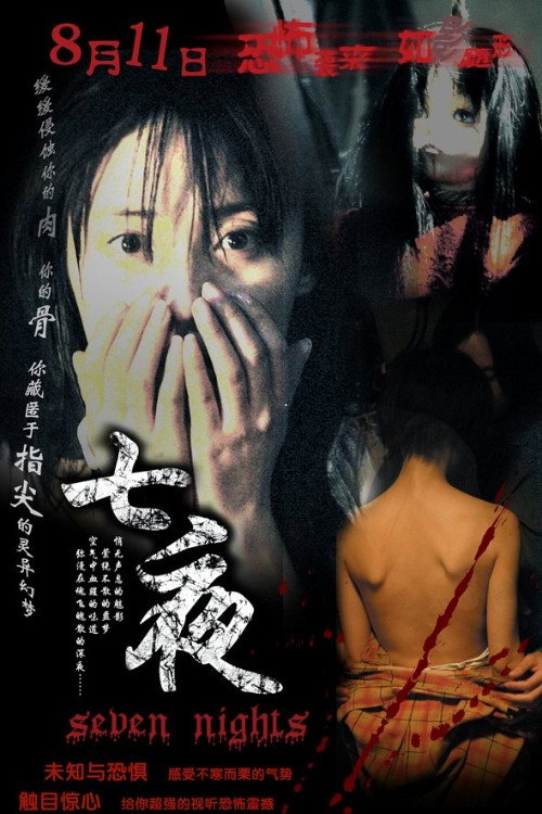 Movie poster for Seven Nights (2005)