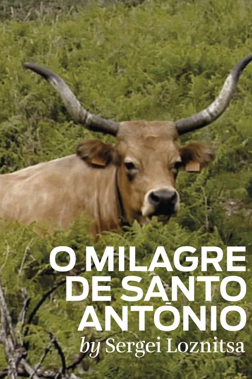 Movie poster for The Miracle of Saint Anthony (2012)