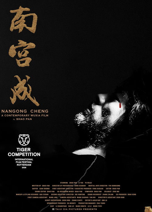 Movie poster for Nangong Cheng (2026)