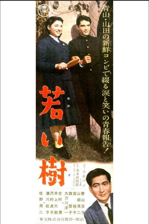Movie poster for Young Tree (1956)