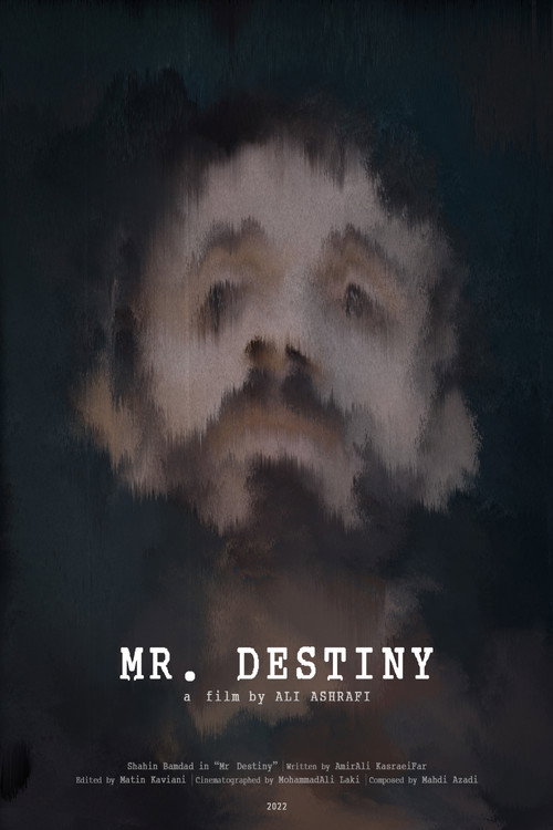 Movie poster for Mr Destiny (2022)