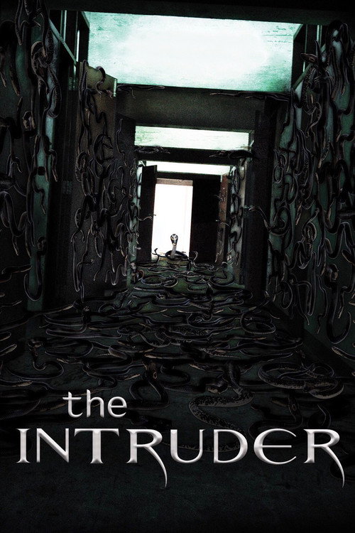 Movie poster for The Intruder (2010)