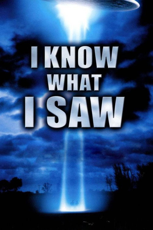 Movie poster for I Know What I Saw (2009)