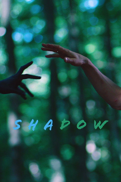 Movie poster for Shadow (2022)