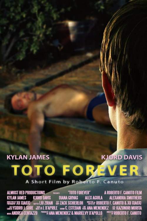 Movie poster for Toto Forever (2010)
