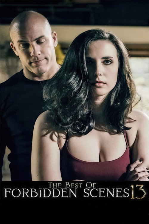 Movie poster for The Best of Forbidden Scenes 13 (2025)