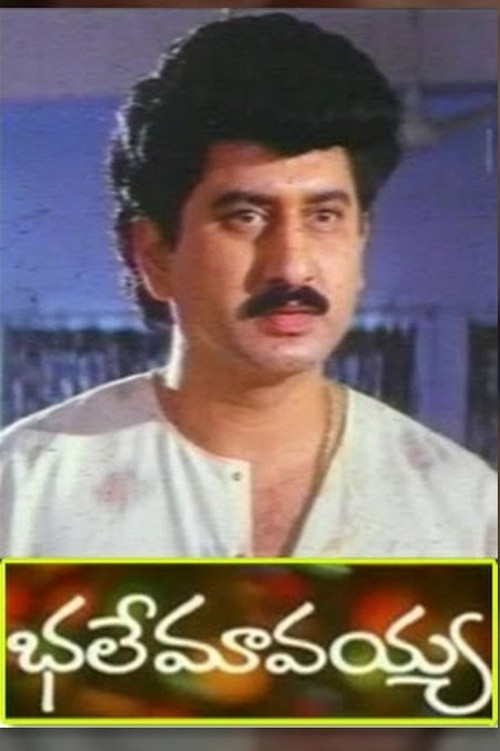 Movie poster for Bhale Mavayya (1994)